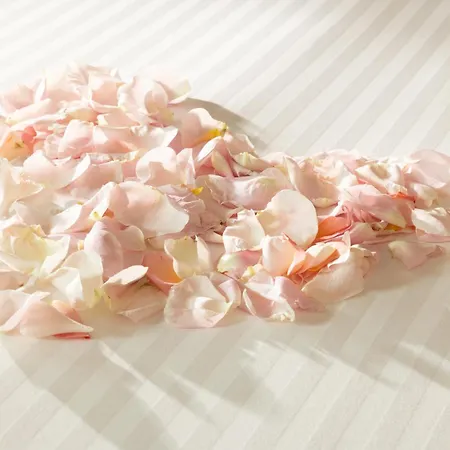 La Maison Bord'eaux Μπορντό