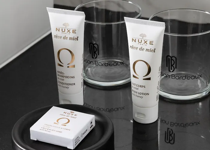 فندق La Maison Bord'eaux بوردو