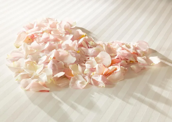 La Maison Bord'eaux 보르도